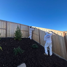 Fence-Staining-Project-San-Luis-Obispo 3